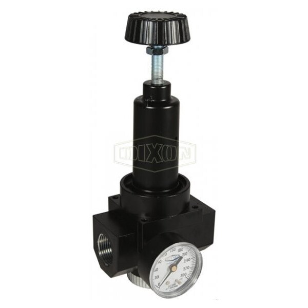 Wilkerson by Self-Relieving Standard High Flow Regulator with GC240 Gauge, 3/4 in NPT/BSPP-G